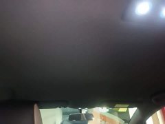 BYD Dolphin 420km Freedom Edition - ფოტო 18