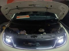BYD Dolphin 420km Freedom Edition - ფოტო 20