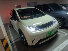 BYD Dolphin 420km Freedom Edition - ფოტო 4