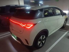 BYD Dolphin 420km Freedom Edition - ფოტო 7