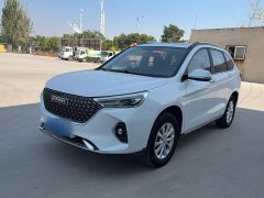 Haval M6 PLUS 1.5T DCT Elite Smart Connected Edition - ფოტო 1