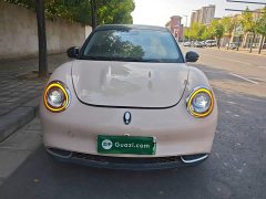ORA Good Cat 401km Standard Range Deluxe Ternary Lithium - ფოტო 3