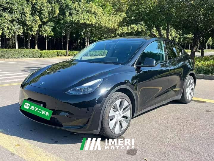 Tesla Model Y Rear-Wheel Drive