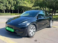 Tesla Model Y Rear-Wheel Drive - ფოტო 2