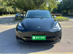 Tesla Model Y Rear-Wheel Drive - ფოტო 3