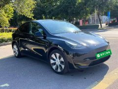 Tesla Model Y Rear-Wheel Drive - ფოტო 4