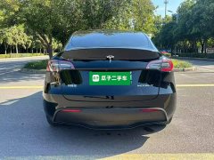 Tesla Model Y Rear-Wheel Drive - ფოტო 6