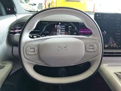 XPeng G6 625 Long Range Max Flagship - ფოტო 11