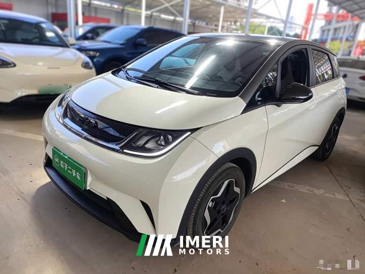 BYD Dolphin 2025 420km Vitality Edition - ავტომობილი ჩინეთიდან