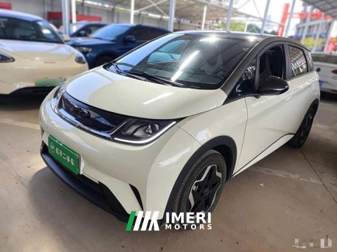 2024 BYD Dolphin 2025 420km Vitality Edition - ავტომობილი ჩინეთიდან