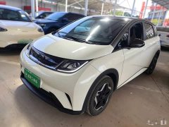 BYD Dolphin 2025 420km Vitality Edition - ფოტო 2