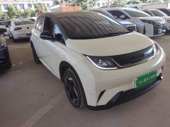 BYD Dolphin 2025 420km Vitality Edition - ფოტო 4