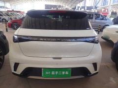 BYD Dolphin 2025 420km Vitality Edition - ფოტო 6