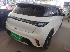 BYD Dolphin 2025 420km Vitality Edition - ფოტო 7