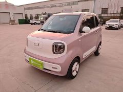 FAW Besturn Xiaoma 2026 222km Shining Edition - ფოტო 2