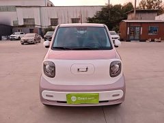 FAW Besturn Xiaoma 2026 222km Shining Edition - ფოტო 3