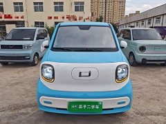 FAW Besturn Xiaoma 222km Dynamic Edition - ფოტო 3