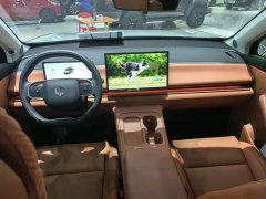 Leapmotor Leapo C10 530 Comfort Edition - ფოტო 10