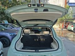 ORA Good Cat 2023 401km Standard Range Deluxe Edition LFP Battery - ფოტო 19