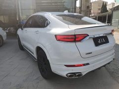 Geely Xingyue 2020 High-Performance Edition 350T Star Master - ფოტო 5