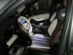 Geely Xingyue L 2.0T High-Power Automatic FWD Flagship - ფოტო 8