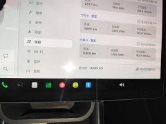 Tesla Model Y Rear-Wheel Drive - ფოტო 12