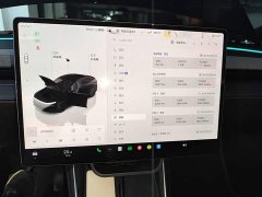 Tesla Model Y Rear-Wheel Drive - ფოტო 13