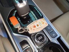 Geely ICON 1.5TD Chocolate Elegant Edition - ფოტო 9