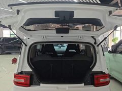 Wuling Hongguang MINIEV 2020 Deluxe Edition LFP Battery - ფოტო 19
