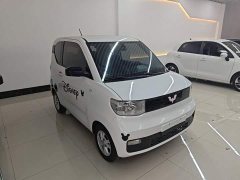 Wuling Hongguang MINIEV 2020 Deluxe Edition LFP Battery - ფოტო 4