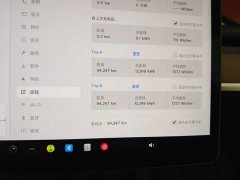 Tesla Model 3 2021 Standard Range RWD Upgrade 3D6 - ფოტო 12