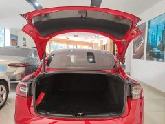 Tesla Model 3 2021 Standard Range RWD Upgrade 3D6 - ფოტო 19