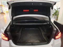 BMW 5 Series Facelift 530Li Premier M Sport Package - ფოტო 19