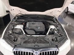 BMW 5 Series Facelift 530Li Premier M Sport Package - ფოტო 20
