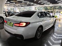 BMW 5 Series Facelift 530Li Premier M Sport Package - ფოტო 7