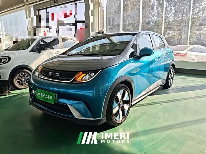 BYD Dolphin 401km Knight Edition - ავტომობილი ჩინეთიდან