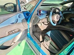 BYD Dolphin 401km Knight Edition - ფოტო 16