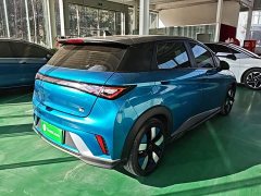 BYD Dolphin 401km Knight Edition - ფოტო 7