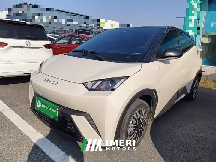 BYD Seagull Vitality Edition - ავტომობილი ჩინეთიდან
