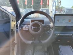 BYD Seagull Vitality Edition - ფოტო 11