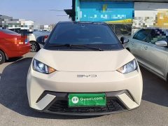 BYD Seagull Vitality Edition - ფოტო 3