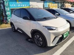 BYD Seagull Vitality Edition - ფოტო 4