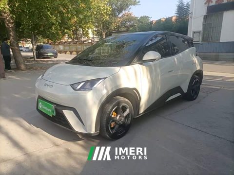 2023 BYD Seagull Freedom Edition - ავტომობილი ჩინეთიდან