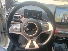 BYD Seagull Freedom Edition - ფოტო 11