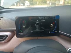 BYD Seagull Freedom Edition - ფოტო 12