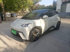 BYD Seagull Freedom Edition - ფოტო 2