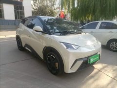 BYD Seagull Freedom Edition - ფოტო 4