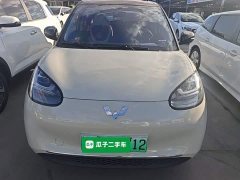 Wuling Binguo 333km Joy Edition - ფოტო 3