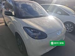Wuling Binguo 333km Joy Edition - ფოტო 4