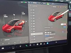 Tesla Model 3 2023 Rear-Wheel Drive - ფოტო 12